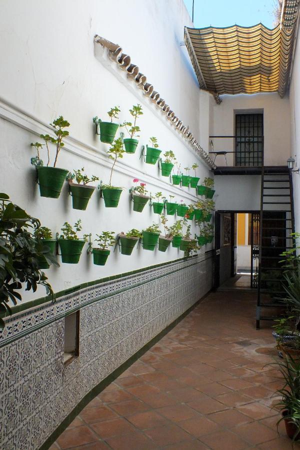 El Patio De Santiago Hotel Kordoba Bagian luar foto