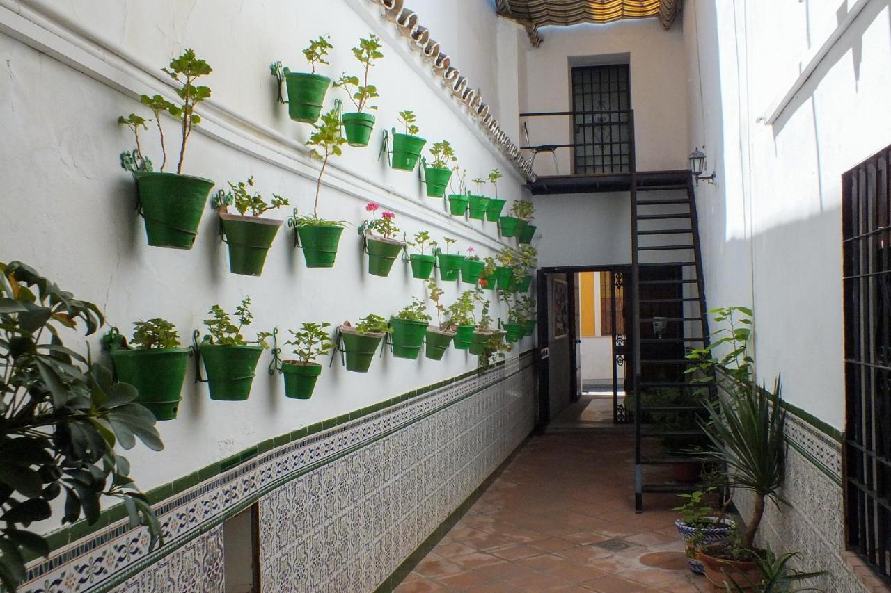 El Patio De Santiago Hotel Kordoba Bagian luar foto